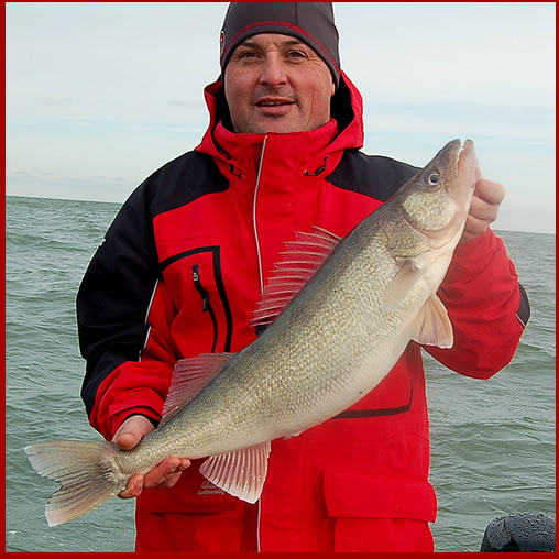 Blue Dolphin - Lake Erie Walleye Fishing Charters