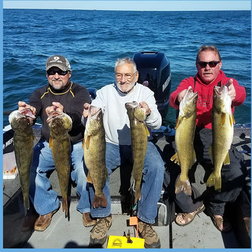 Blue Dolphin - Lake Erie Walleye Fishing Charters