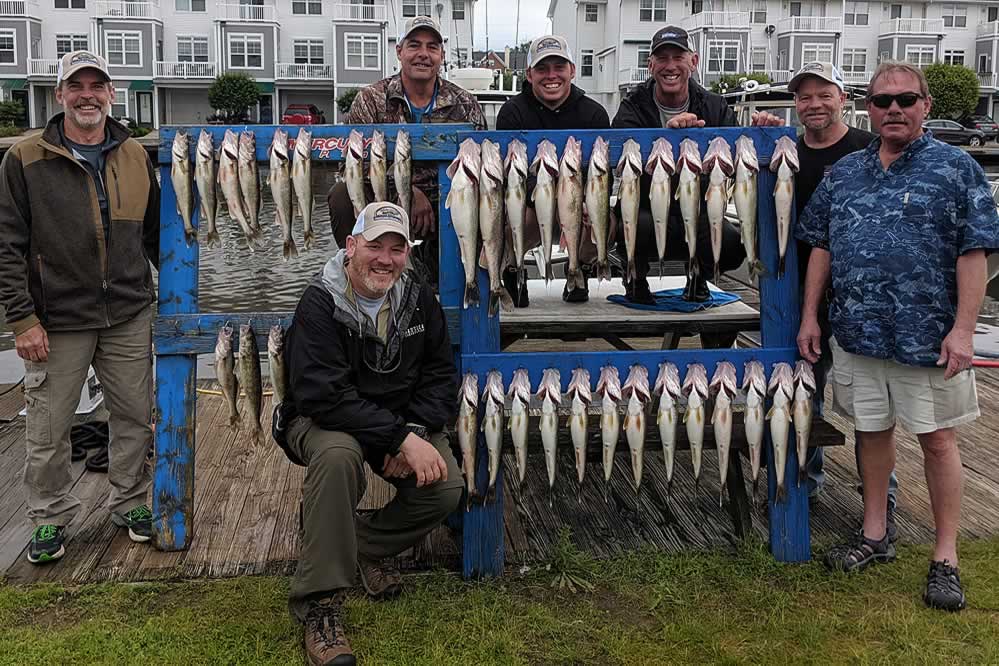 Blue Dolphin Lake Erie Walleye Charters 216-849-4954