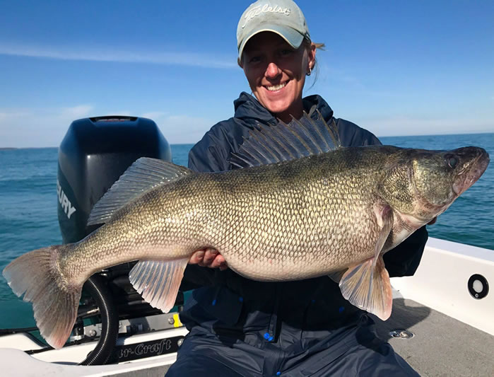 Nibble-This-Charters-Lake-Erie-walleye-9
