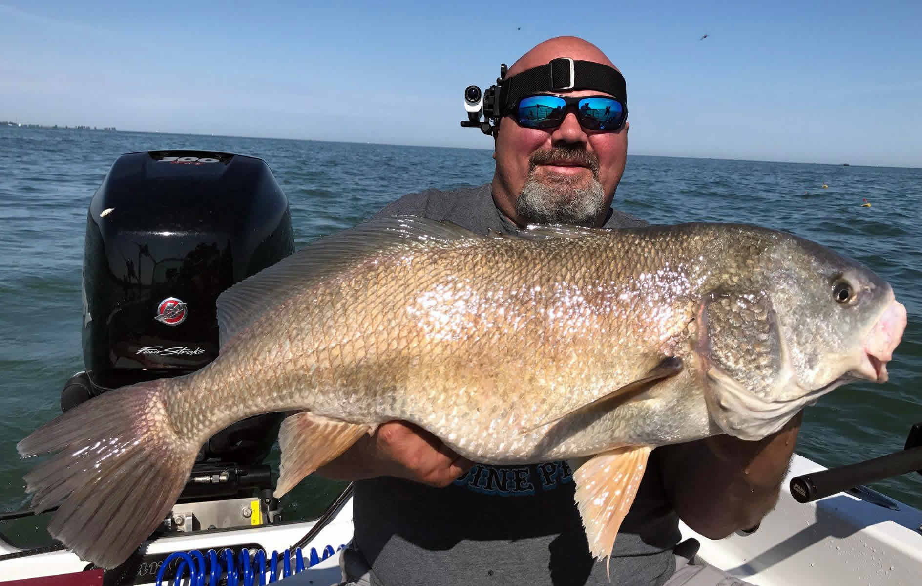 Nibble This Charters - Lake Erie OH