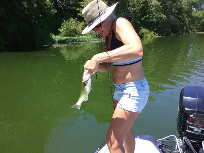 Bass Fishing Report - Clear Fork Lake