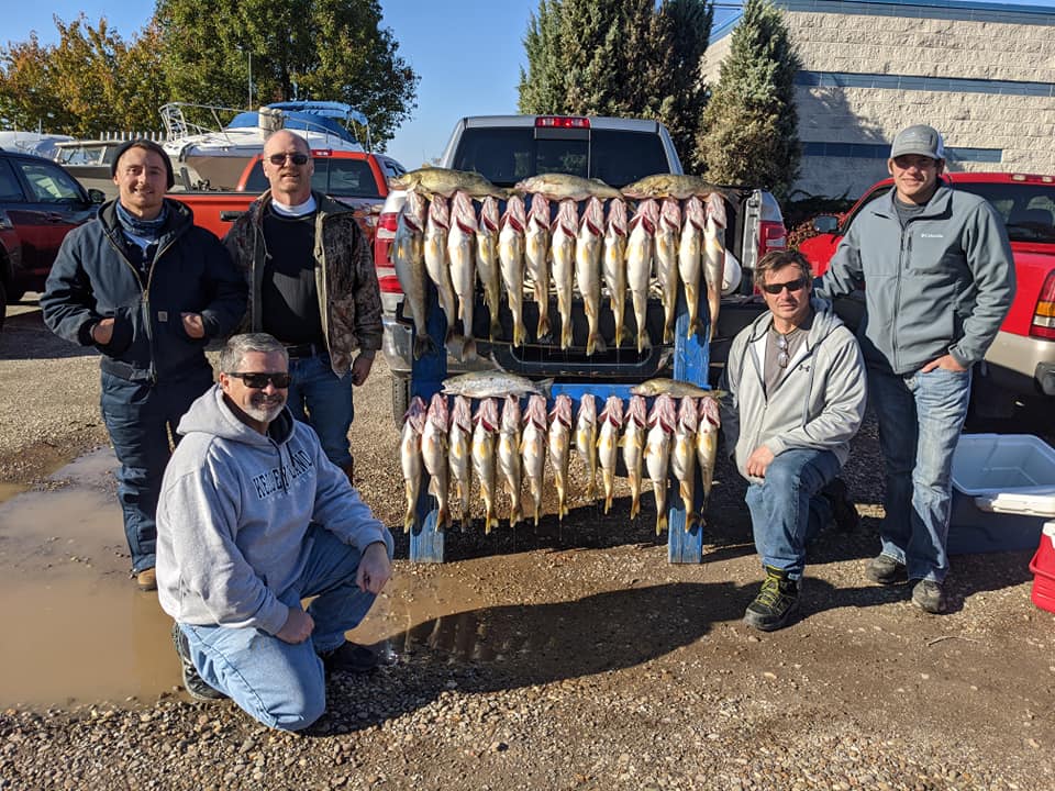 Lake Erie Walleye Fishing Report November 2nd Blue Dolphin Charters