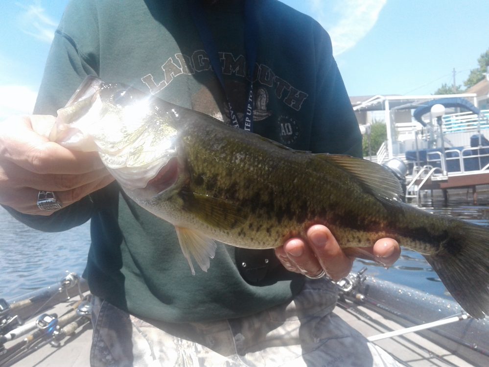 Portage Lakes Fishing Report