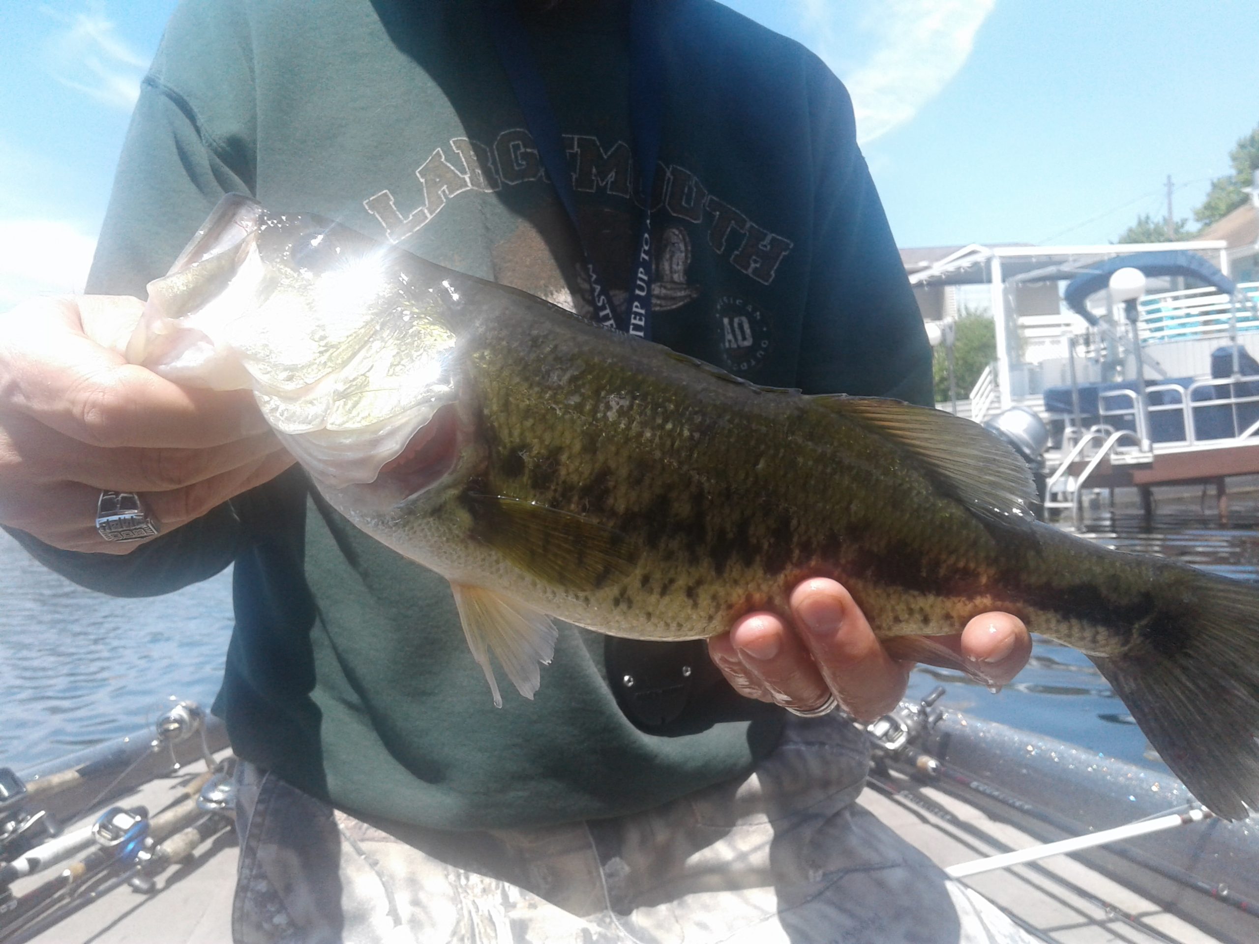 Read more about the article Portage Lakes Fishing Report