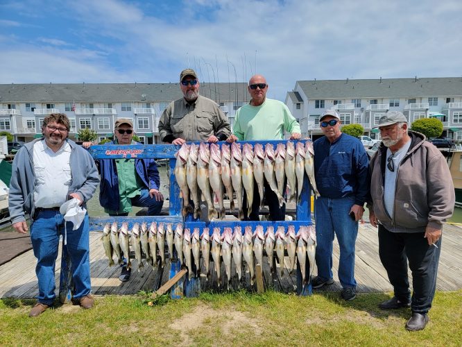 Walleye fishing report