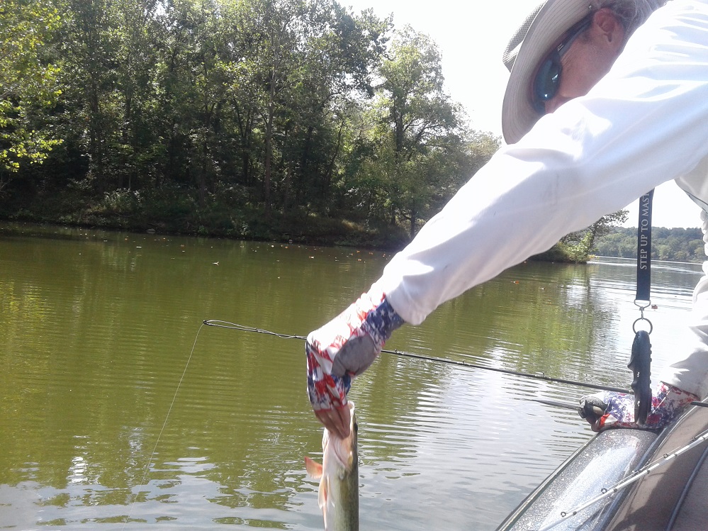 Read more about the article Paint Creek Lake Bass Fishing Report