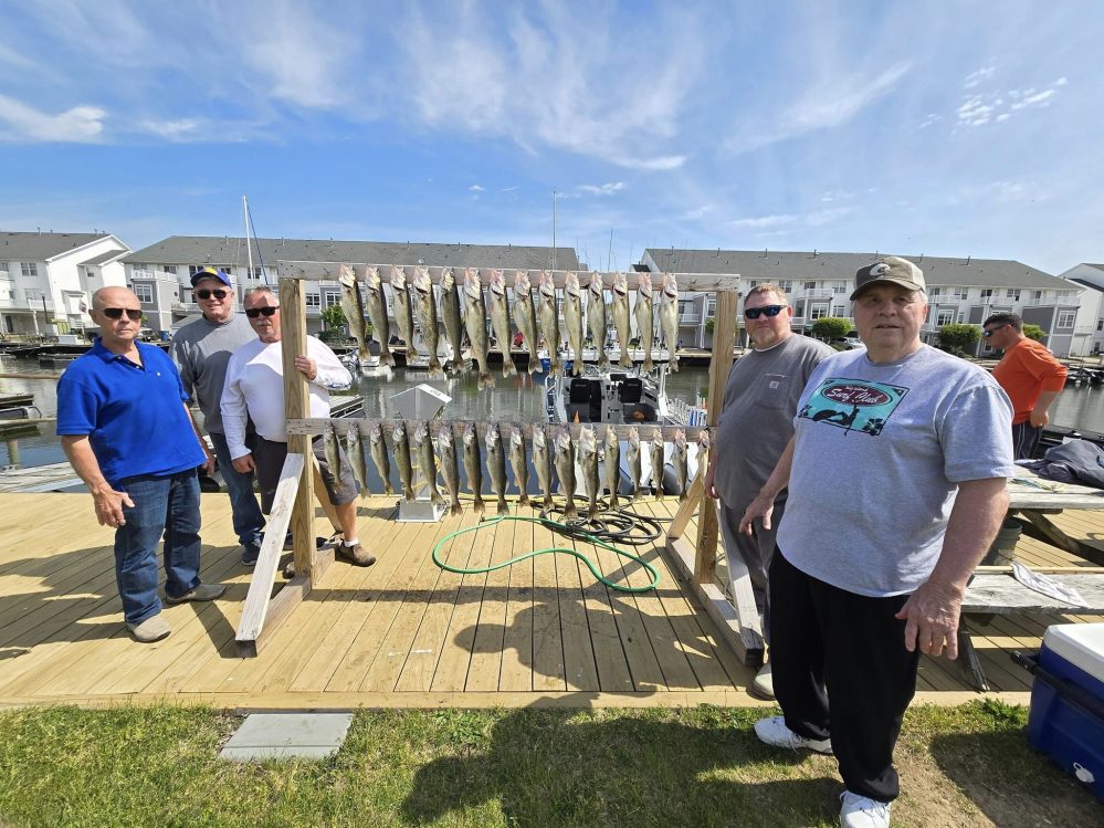 Blue Dolphin Walleye Charters